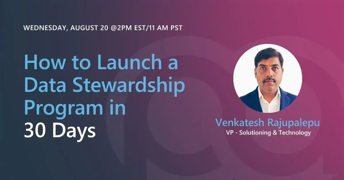 Webinar - How to Launch a Data Stewardship Program in 30 Days